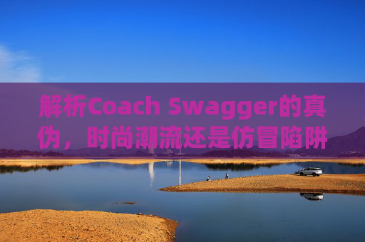 解析Coach Swagger的真伪，时尚潮流还是仿冒陷阱？